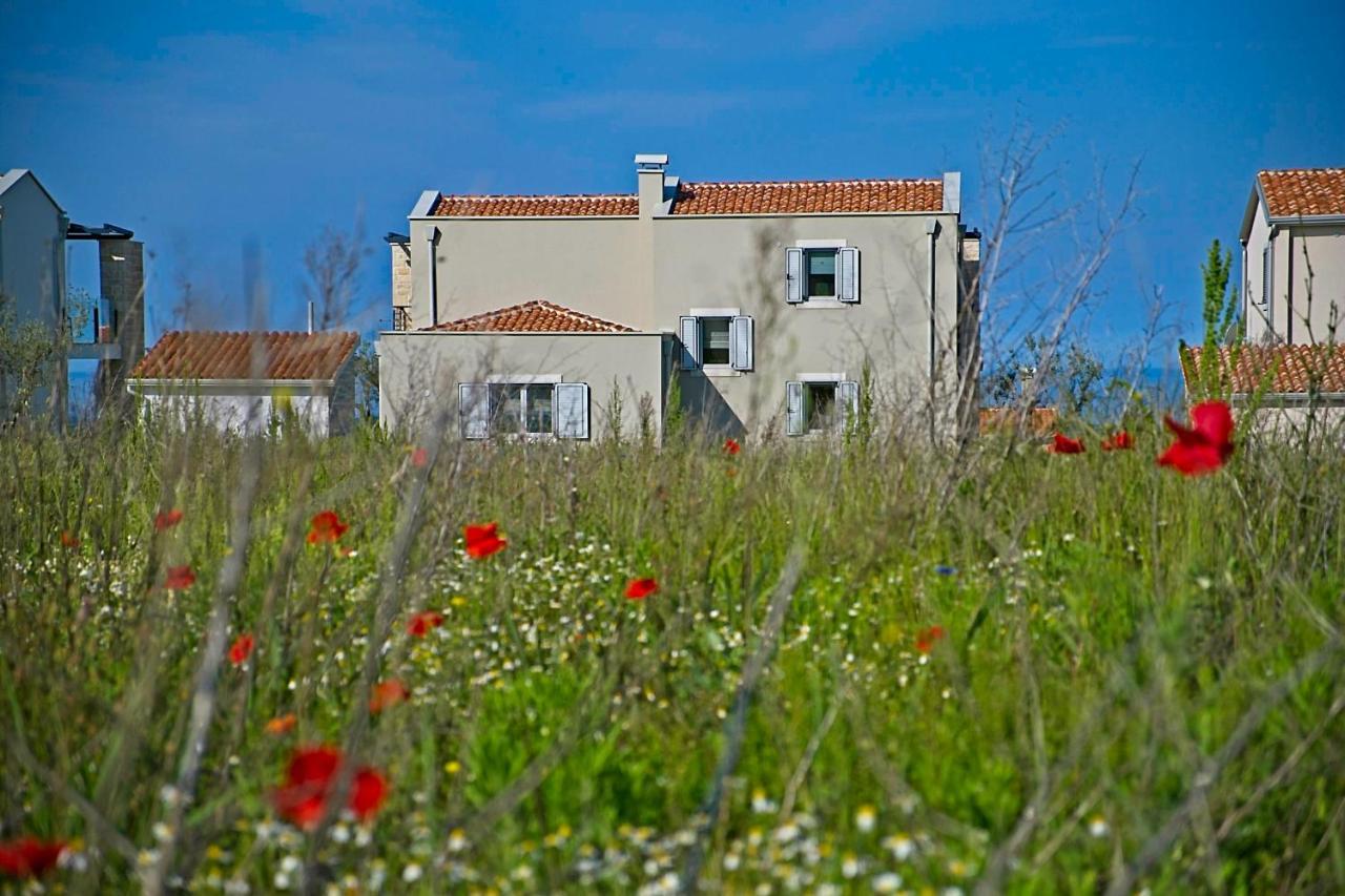 Villa Flamingo Kaštelir Buitenkant foto