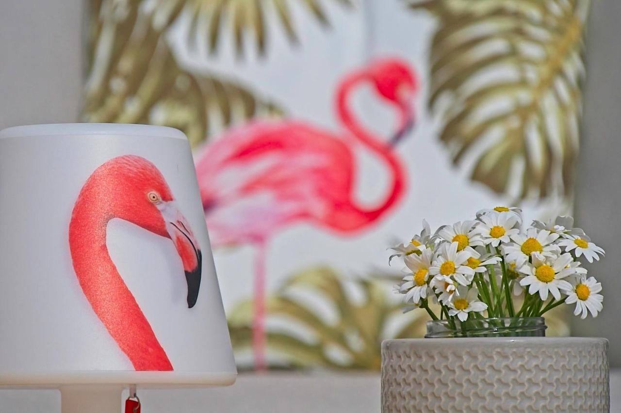 Villa Flamingo Kaštelir Buitenkant foto